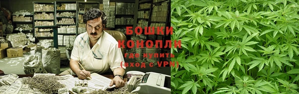 apvp Богданович